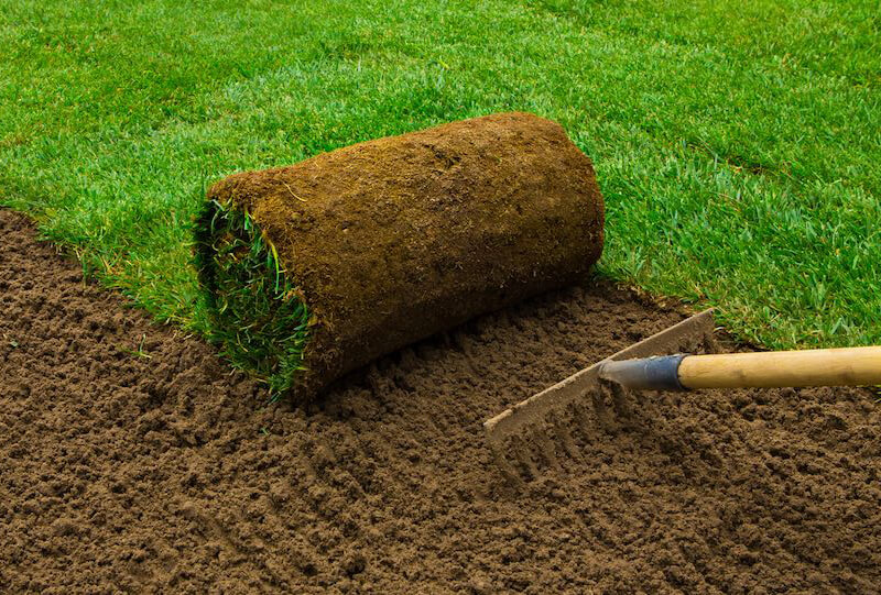 Hazır Çim Kullanımı: Bahçenize Anında Yeşillik Değişimi