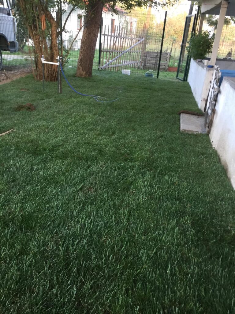Hazır Rulo Çimin Avantajları
