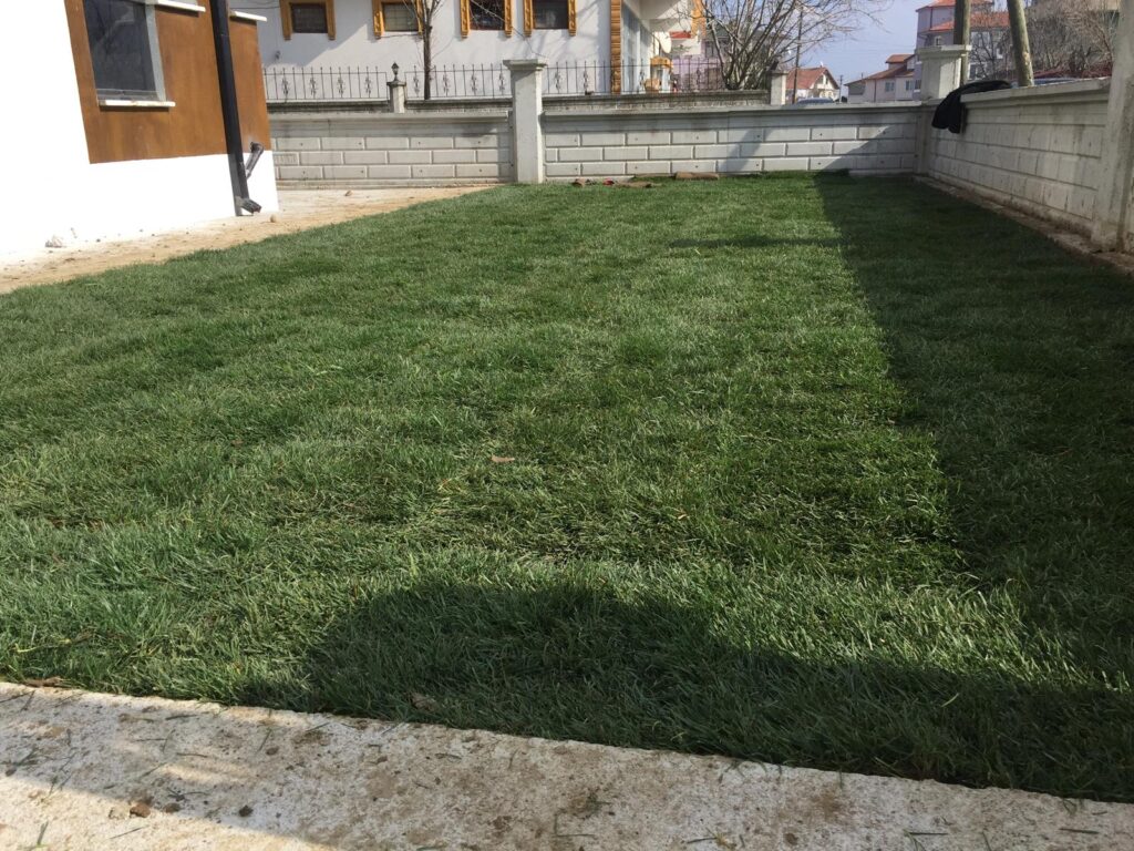 Rulo çim fiyatları
