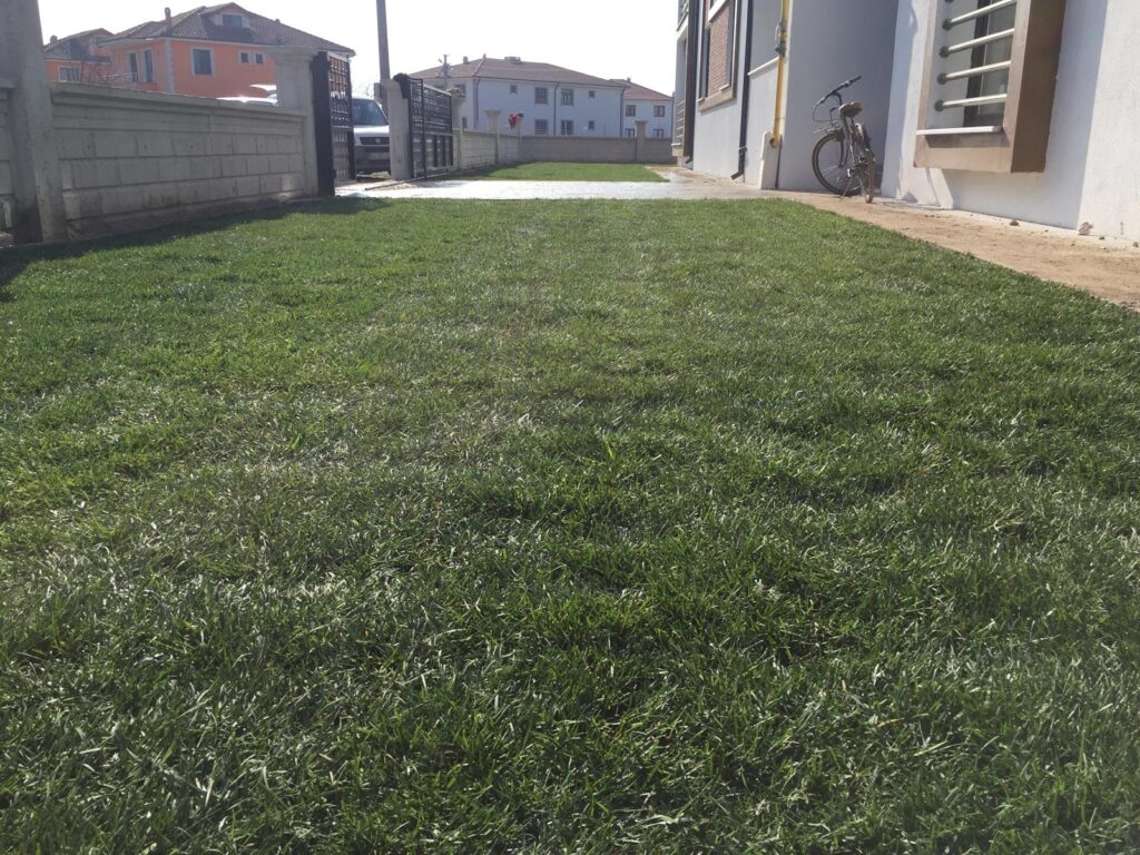 çimlerin sararmaması için yapılması gerekenler