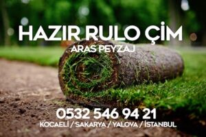 rulo çim fiyatları rulo çim fiyatları